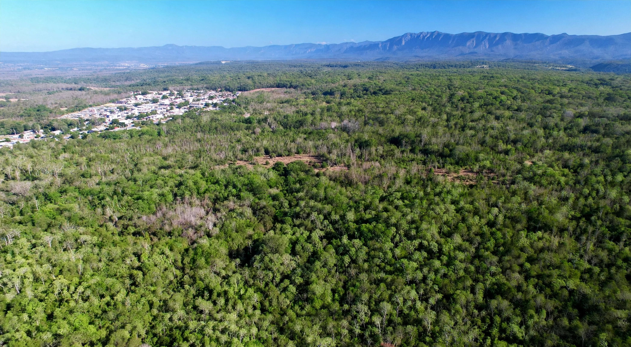View across the land toward the neighbouring estates