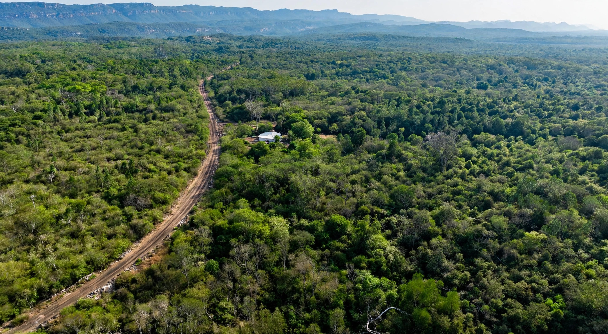 The road frontage by Lots #02 and #04