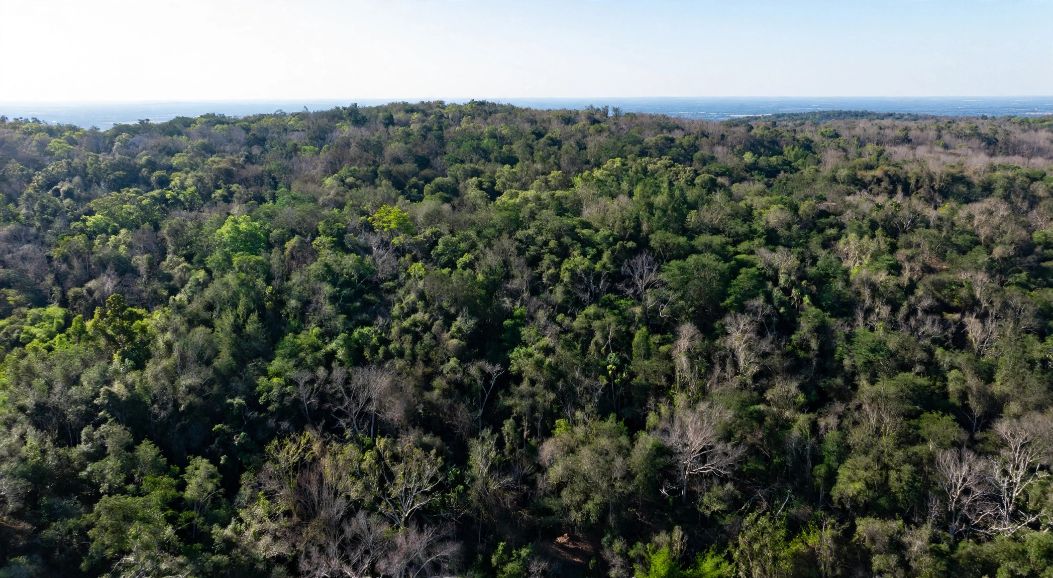 Aerial view over Lot #01